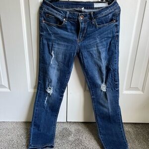 Classic Blue Skinny Jeans for Women